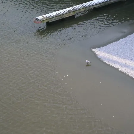 Marina Cux קושהאבן